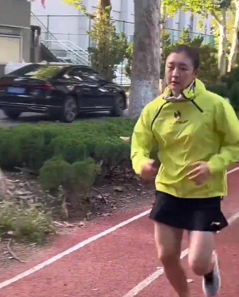 wz, 樊振东斩获 wz, 樊振东斩获